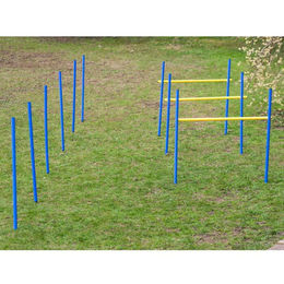 Produktbild von PROCYON Agility-Gerät für Hunde bunt