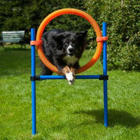 Produktbild von Procyon Agility-Gerät Sprungring aus Kunststoff in Orange für Hunde