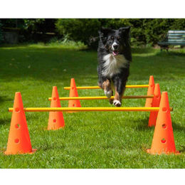 Procyon Agility Pylonen-Hürden 3er Set aus Kunststoff in Orange 38 cm – Bild 1 von 1