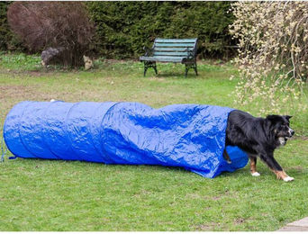 Procyon Agility-Sacktunnel für Hunde in Blau – Bild 1 von 2