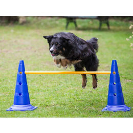 Procyon Agility Set aus Kunststoff mit 3 Pylonen-Hürden 50cm und Sprungring in Blau – Bild 1 von 1