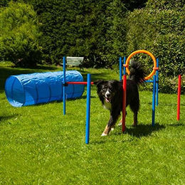 PROCYON Agility Set K2 Hundetraining Set Bunt – Bild 1 von 9