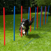 Produktbild von Procyon Agility Slalom Hundetraining bunt