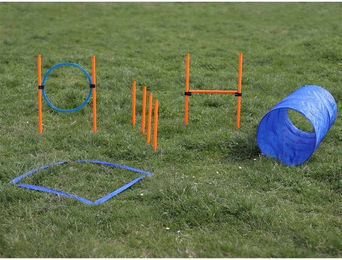 Procyon Agility Starter-Set Hund Agility-Gerät Bunt – Bild 1 von 2