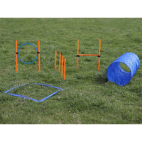 Produktbild von Procyon Agility Starter-Set Hund Agility-Gerät Bunt