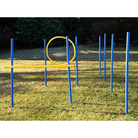 Produktbild von Procyon Agility Trainings-Set für Hunde in Bunt