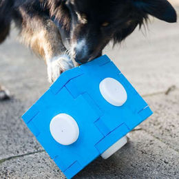 PROCYON Dog Agility Schnüffel-Cube Intelligenzspielzeug aus Kunststoff Blau – Bild 1 von 7