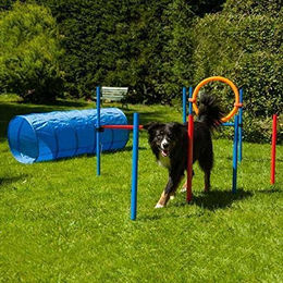 Procyon Dog Agility Set K2 PRO Hundetraining Set Bunt – Bild 1 von 5