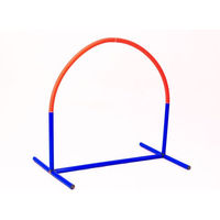 Produktbild von Procyon Hoopers Bogen Agility-Gerät bunt