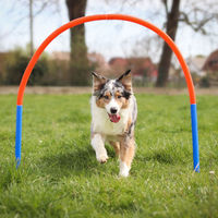 Produktbild von Procyon Hoopers Set Agility-Gerät aus Kunststoff für Hunde aller Altersstufen