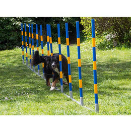 Procyon Hund Agility Slalom aus Aluminium in Blau – Bild 1 von 1