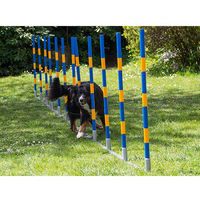 Produktbild von Procyon Hund Agility Slalom aus Aluminium in Blau