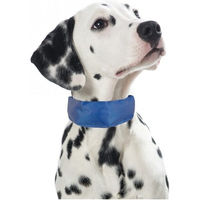 Produktbild von Procyon Kühl-Bandana Halstuch für Hunde Blau Größe L