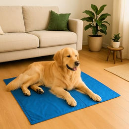 Procyon Kühlmatte für Hunde XL 110x70cm druckaktiviert mit Gel – Bild 1 von 1