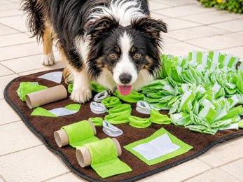 Procyon Schnüffelmatte Intelligenzspielzeug für Hunde aller Größen und Altersgruppen – Bild 1 von 7