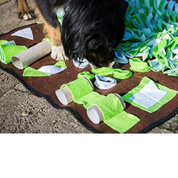 Procyon Schnüffelteppich Intelligenzspielzeug aus Filz für Hunde in XL und Bunt – Bild 1 von 5
