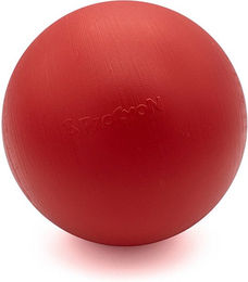 Procyon Treibball für Hunde Größe S Rot – Bild 1 von 2