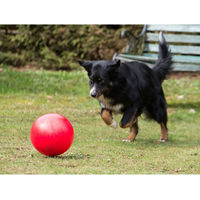 Produktbild von Procyon Treibball Rot für kleine Tiere