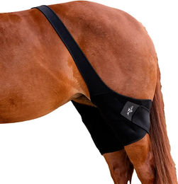 Produktbild von Professional's Choice Elastische Neopren Gamaschen für Pferde Schwarz