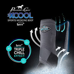 Professional's Choice Gamaschen für Pferde aus Kevlar Blau Größe L – Bild 1 von 3