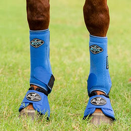 Professional's Choice Gamaschen für Pferde aus Nylon in Blau Größe L – Bild 1 von 3
