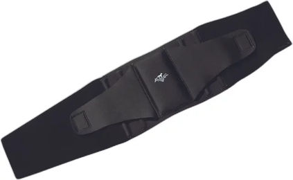 Produktbild von Professional's Choice Neopren-Gürtel Unisex Schwarz XL