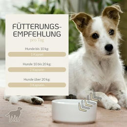 Provicell Agalostrum Vital Kapseln für Hunde mit Colostrum und Mandelpilz zur Immunstärkung 120 Stück - 120 x 86 g – Bild 1 von 2