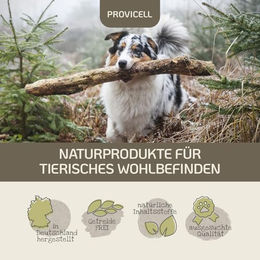 Provicell EM Vital Hund Probiotika zur Unterstützung der Magen-Darm-Flora 250 ml - 250 ml – Bild 1 von 4