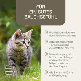 Provicell EM Vital Katze Probiotika zur Unterstützung der Magen-Darm-Flora 250 ml - 250 ml – Bild 1 von 2