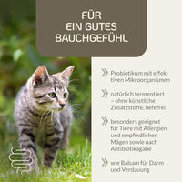 Produktbild von Provicell EM Vital Katze Probiotika zur Unterstützung der Magen-Darm-Flora 250 ml - 250 ml