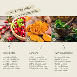 Provicell ImmunVital Pulver für Hunde zur Immunstärkung mit Vitaminen 60g - 60 g – Bild 1 von 3