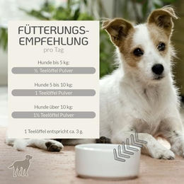 Provicell NutriVital Haut & Fellpflege Pulver für Hunde mit Biotin & Omega-3, 60 g - 60 g – Bild 1 von 3