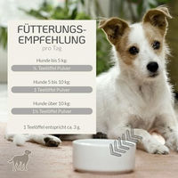 Produktbild von Provicell NutriVital Haut & Fellpflege Pulver für Hunde mit Biotin & Omega-3, 60 g - 60 g