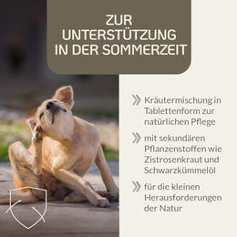 Provicell Para-Z Vital Nahrungsergänzung für Hunde mit Zistrose und Schwarzkümmelöl 120 Tabletten - 120 Stk. – Bild 1 von 6