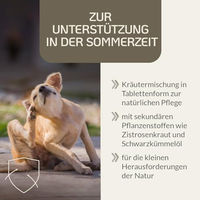 Produktbild von Provicell Para-Z Vital Nahrungsergänzung für Hunde mit Zistrose und Schwarzkümmelöl 120 Tabletten - 120 Stk.