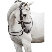 Produktbild von PS of Sweden Doppelschabracke Paragon Leder Braun XFull