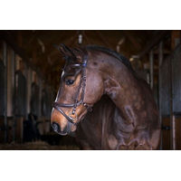 Produktbild von PS of Sweden Jump Off Trense aus Leder in Schwarz X-Full