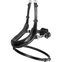 Produktbild von PS of Sweden Nasenriemen Paladin X-Full aus Leder Schwarz