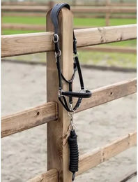Produktbild von PS of Sweden Pferd Halfter aus Leder in Schwarz Braun oder Silber
