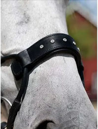 Produktbild von PS of Sweden Reithalfter High Jump mit Swarovski Kristallen aus Leder in Schwarz oder Braun Größe XFull