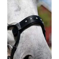 Produktbild von PS of Sweden Reithalfter High Jump mit Swarovski Kristallen aus Leder in Schwarz oder Braun Größe XFull