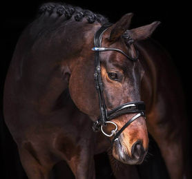 PS of Sweden Trense Flying Change Deluxe Trensenzaum Reithalfter Black Cob – Bild 1 von 1