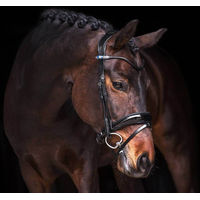 Produktbild von PS of Sweden Trense Flying Change Deluxe Trensenzaum Reithalfter Black Cob
