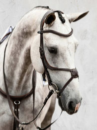 PS of Sweden Trensenzaum Athens aus Leder für Ponys in Schwarz – Bild 1 von 1