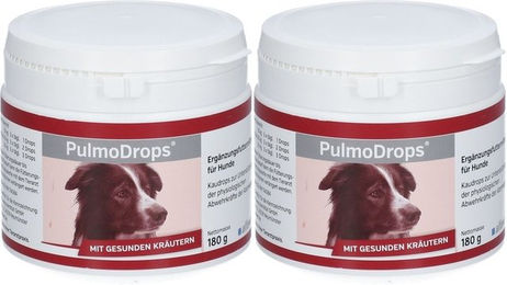 PulmoDrops® Tropfen für Hunde zur Unterstützung der Atemwege und des Immunsystems 360 ml – Bild 1 von 1