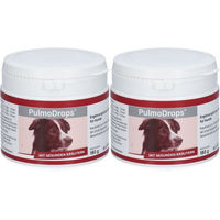 Produktbild von PulmoDrops® Tropfen für Hunde zur Unterstützung der Atemwege und des Immunsystems 360 ml