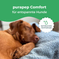 Produktbild von purapep Comfort Hundetabs Beruhigungsmittel mit Tryptophan und Magnesium für Hunde 120 Kautabletten - 120 Stk.