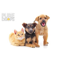 Produktbild von PURE DROPS CBD-Öl 5% zur Beruhigung für Hunde und Tiere 10ml
