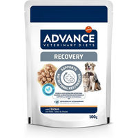 Produktbild von Purina Advance Veterinary Diets Recovery Mini Mousse Huhn Aufbaufutter für erwachsene Hunde 22 x 100 g - 22 x 100 g