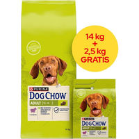Produktbild von Purina Dog Chow Adult Trockenfutter mit Lamm 16,5 kg